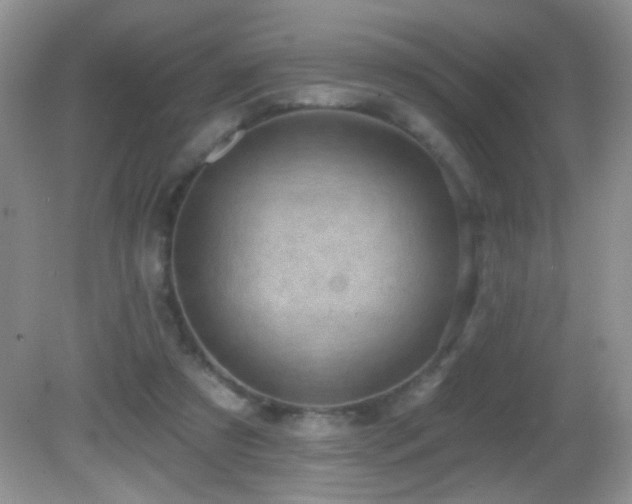 X0000082730305200701261252