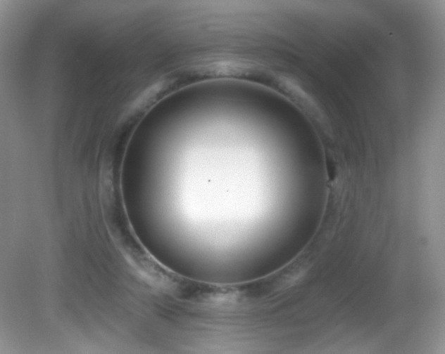 X0000082730306200701261252