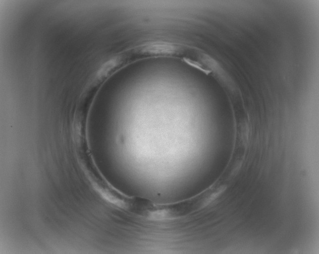 X0000082730309200701261252