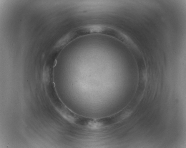 X0000082730311200701261252
