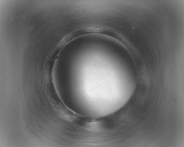 X0000082730312200701261252