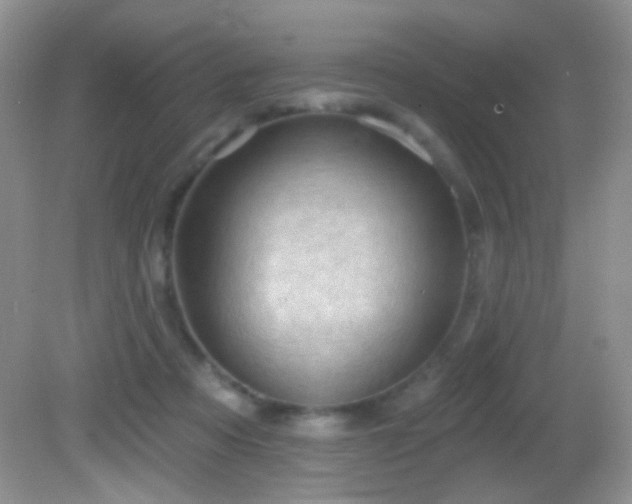 X0000082730313200701261252