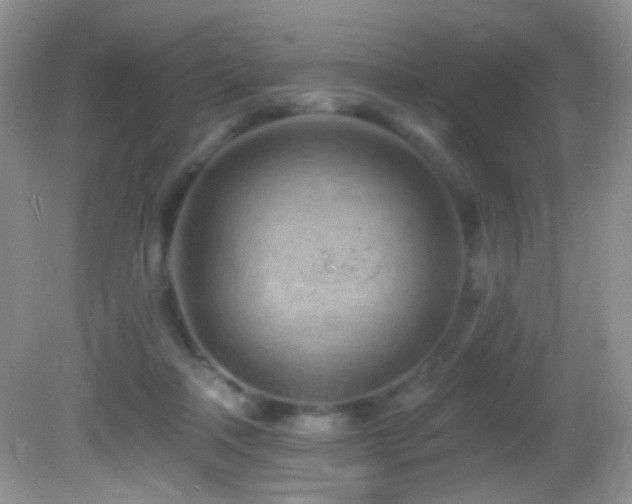 X0000082730314200701261252