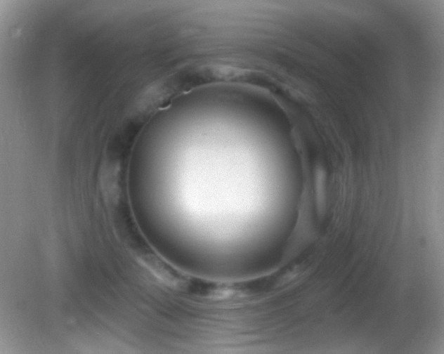 X0000082730319200701261252
