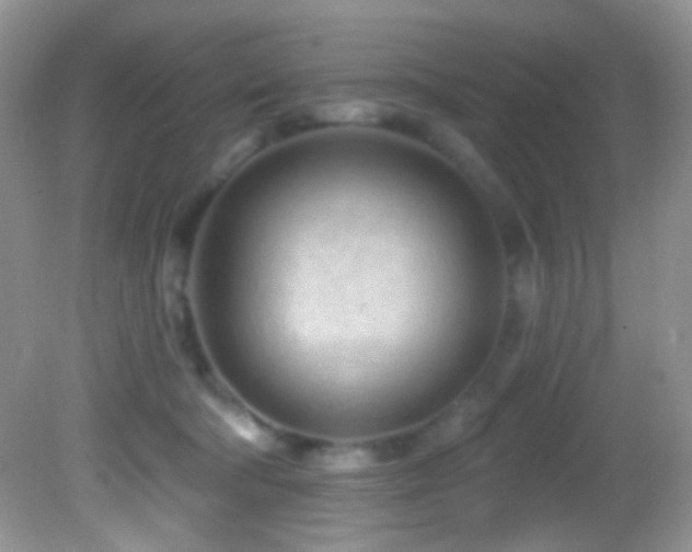 X0000082730322200701261251