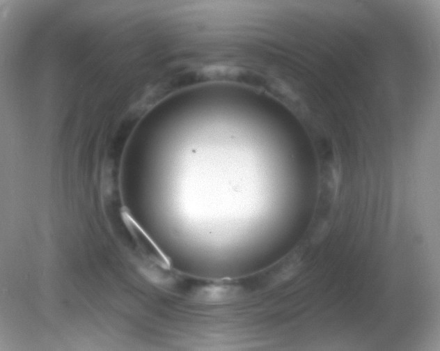 X0000082730323200701261251