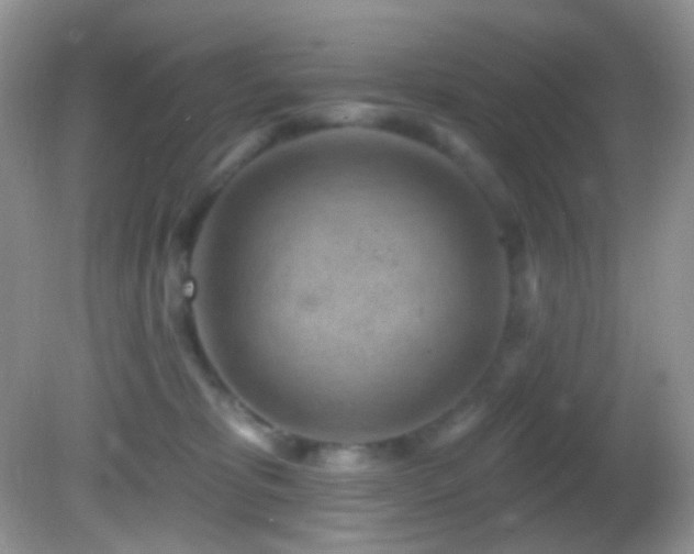 X0000082730325200701261251