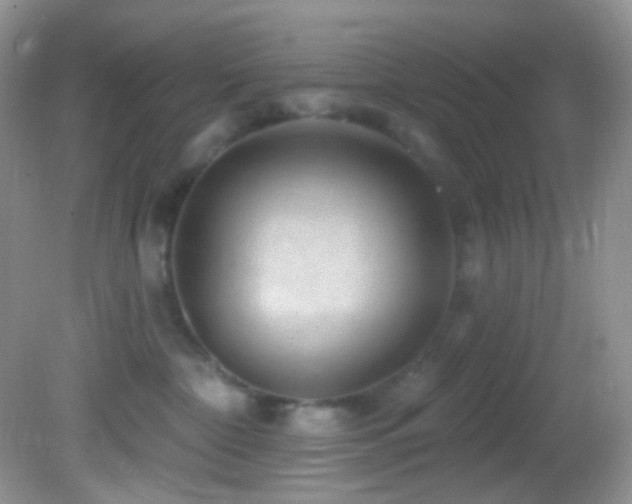 X0000082730332200701261251