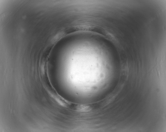 X0000082730334200701261251