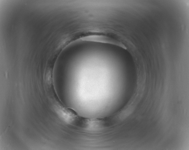 X0000082730336200701261251