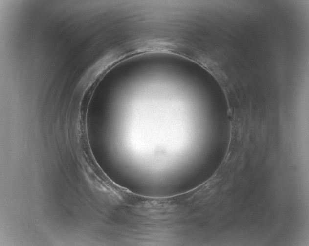 X0000082730338200701261250