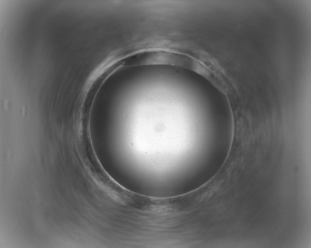 X0000082730344200701261251