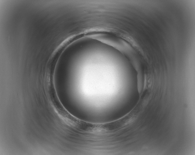 X0000082730348200701261251