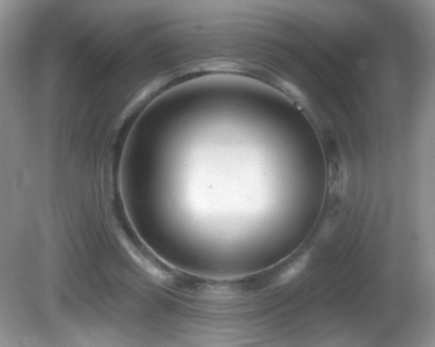 X0000082730349200701261251