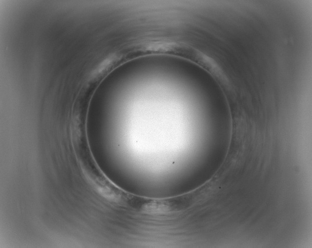 X0000082730354200701261251