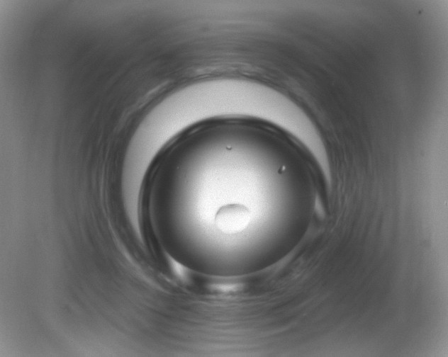 X0000082730356200701261251