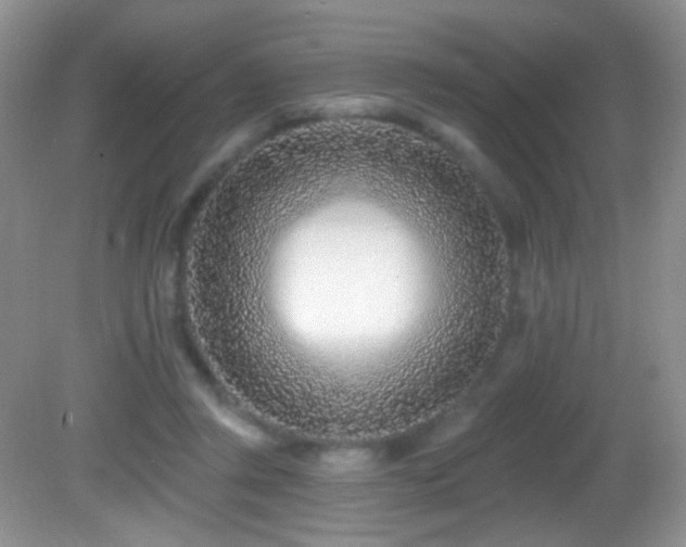 X0000082730357200701261251