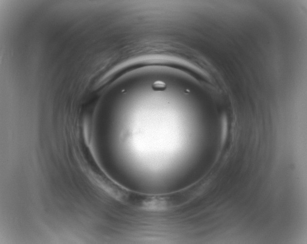 X0000082730362200701261251