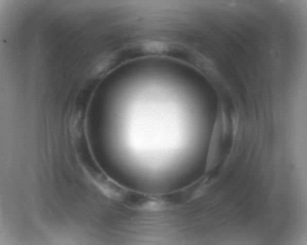 X0000082730364200701261251