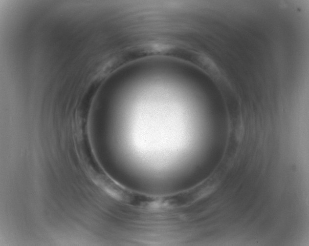 X0000082730366200701261251