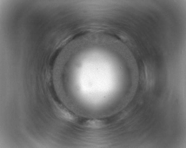 X0000082730367200701261251