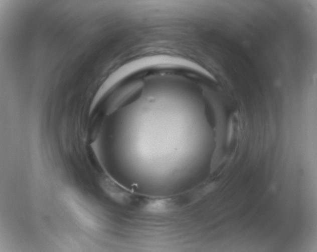 X0000082730382200701261251