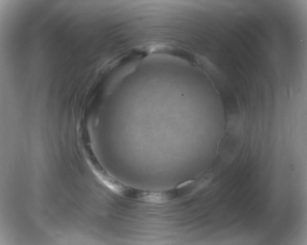 X0000082730383200701261251