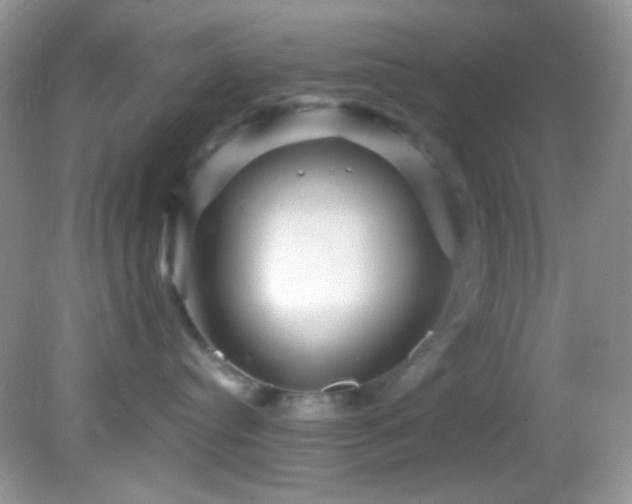 X0000082730384200701261251