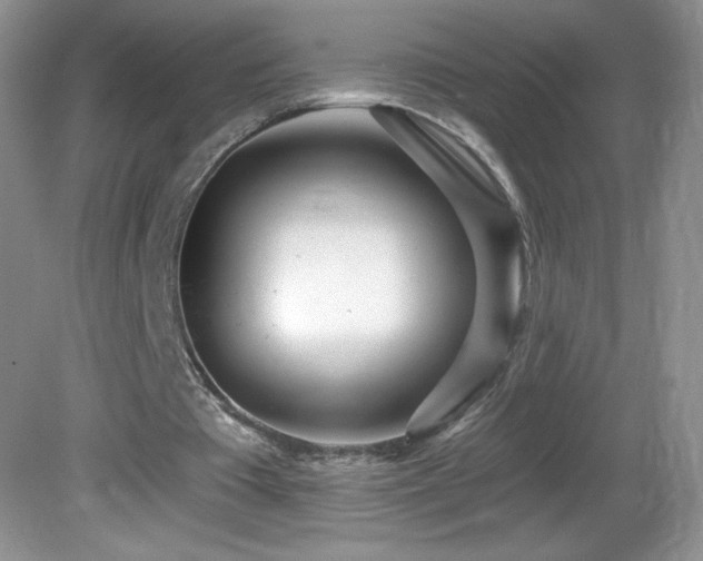 X0000082730385200701261250