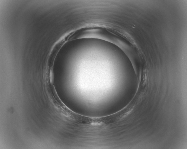 X0000082730388200701261250
