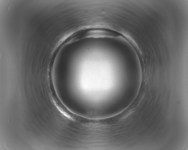 X0000082730389200701261250