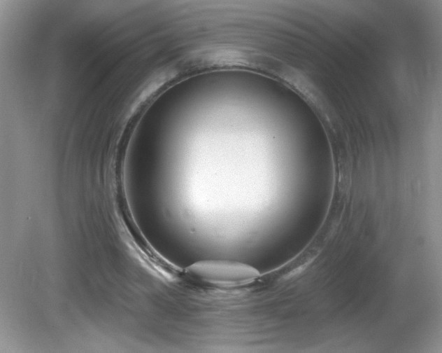 X0000082730390200701261250