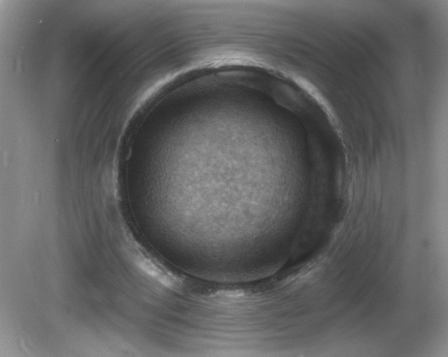 X0000082730391200701261250