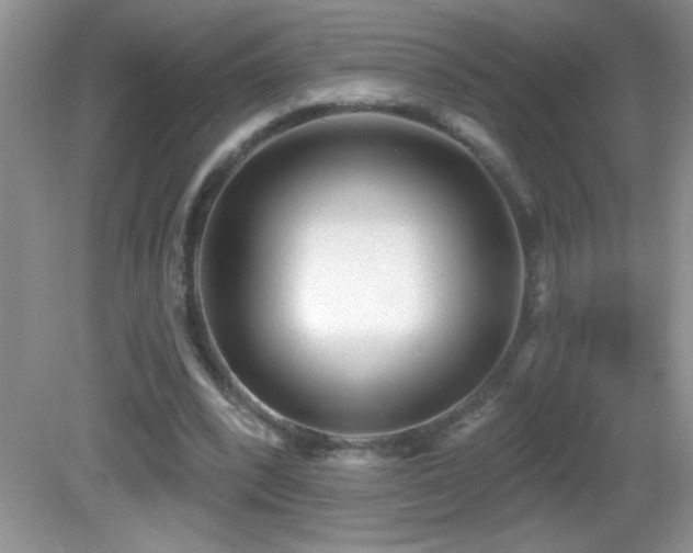X0000082730392200701261250