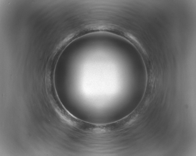 X0000082730394200701261250