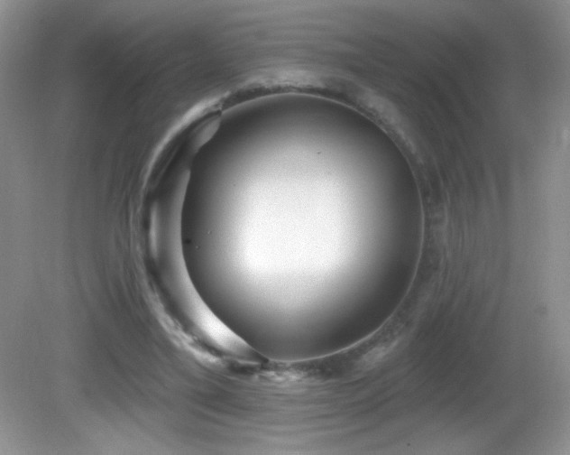 X0000082730395200701261250