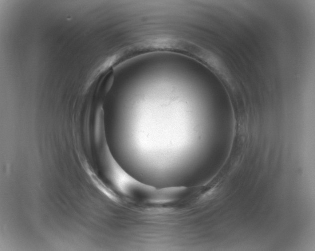 X0000082730397200701261250