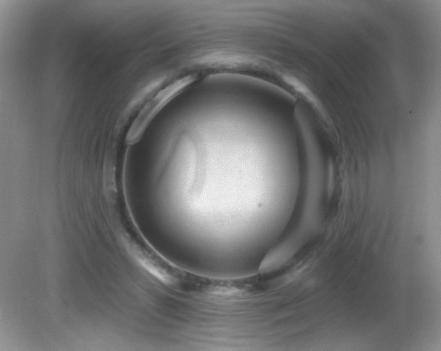X0000082730399200701261250