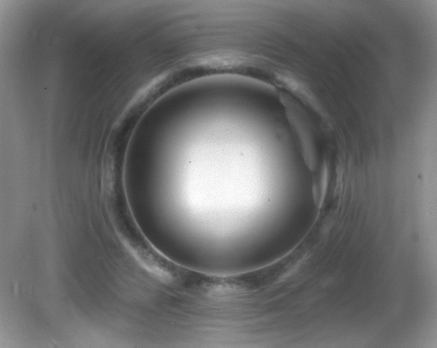 X0000082730400200701261250