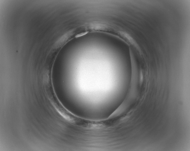 X0000082730401200701261250