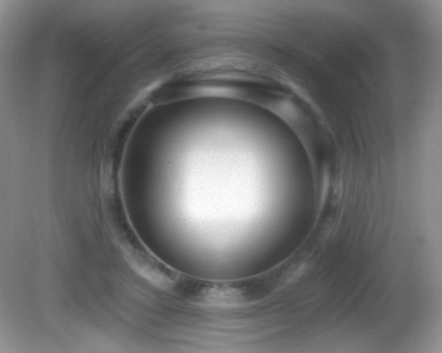 X0000082730403200701261250