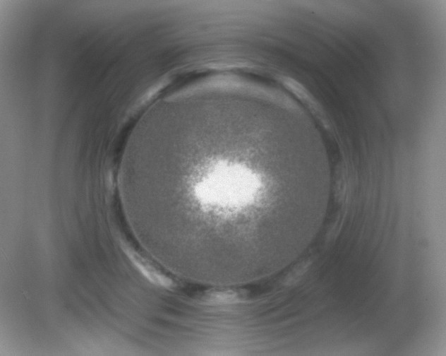 X0000082730405200701261250