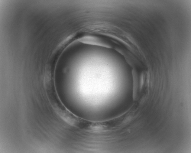 X0000082730407200701261250