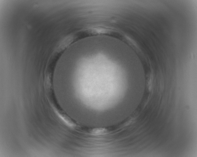 X0000082730410200701261250