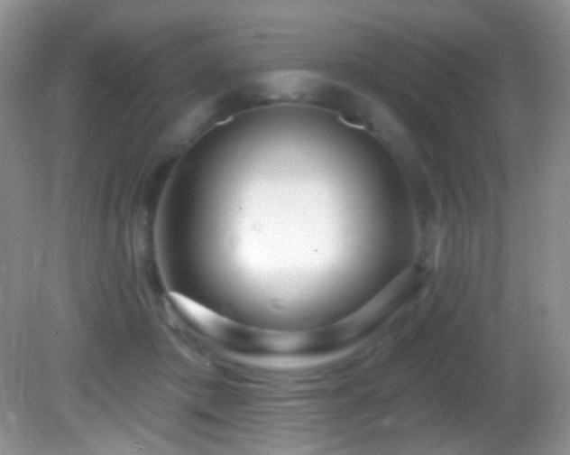 X0000082730413200701261250