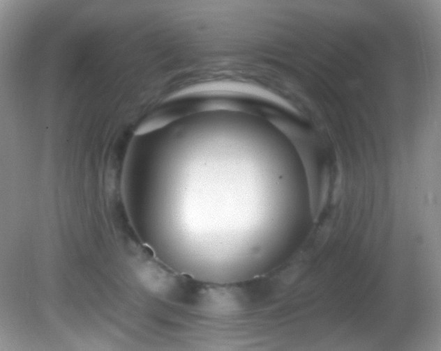 X0000082730417200701261250