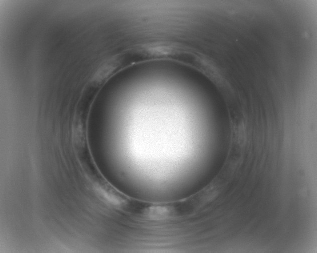 X0000082730418200701261250