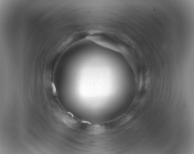X0000082730421200701261250