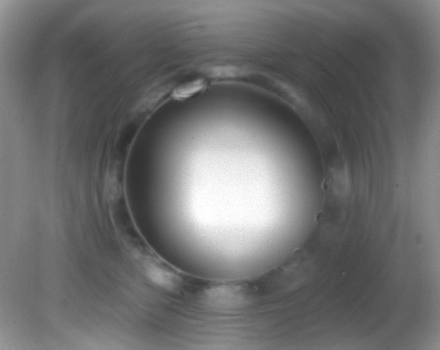 X0000082730422200701261250