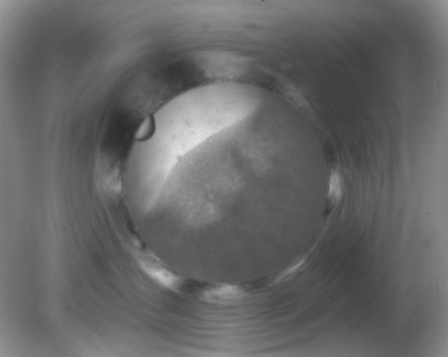 X0000082730431200701261250